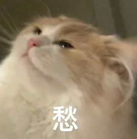 小缇娜主播照片