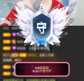 海鸽晚上见主播照片