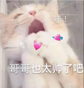 @洛颜💘需要大哥主播照片