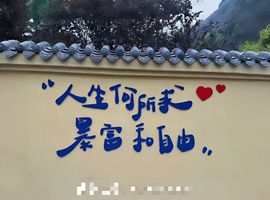 惯宝✨加油主播照片