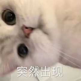 洁儿宝宝~主播照片