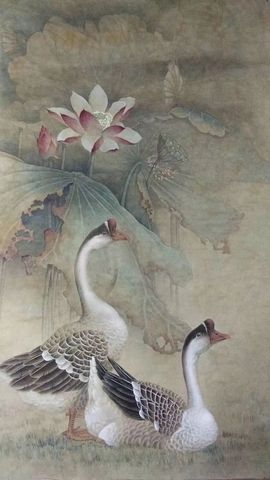 翻新♥宝宝的图片