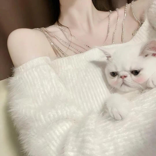 佳妮💓海报