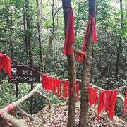 努力吧老头海报