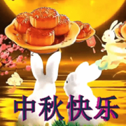 搞笑黑象鼩