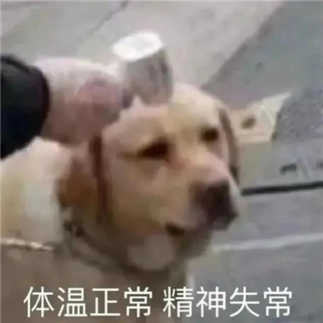 穿越8848。海报
