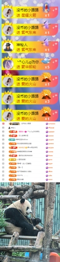 陈慧慧🥕早9晚8主播照片