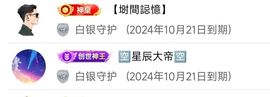 海鸽晚上见主播照片