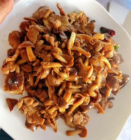 小雅代理ღ好运来💗主播照片