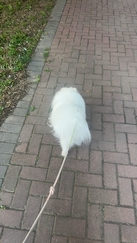 小雅代理ღ好运来💗主播照片