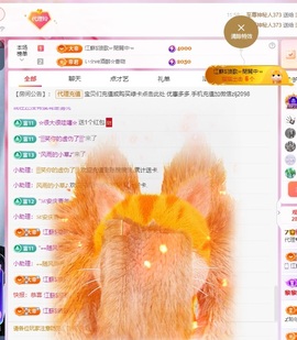 金牌代理❤玲儿❤的图片