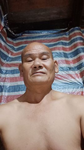 单身的龙好孤独的图片
