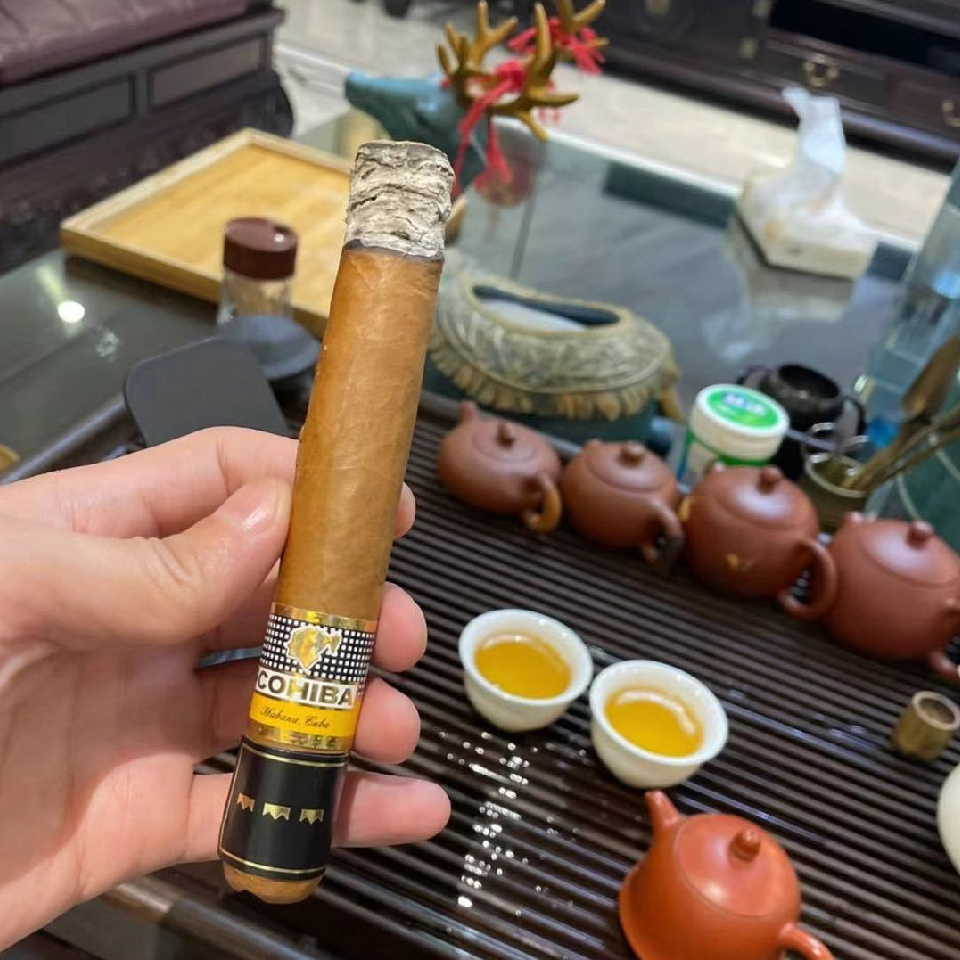 被哆啦抛弃的A梦海报