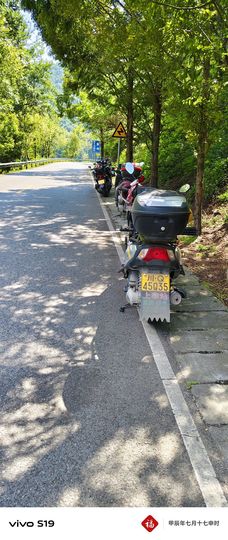 阿涛回来了主播照片