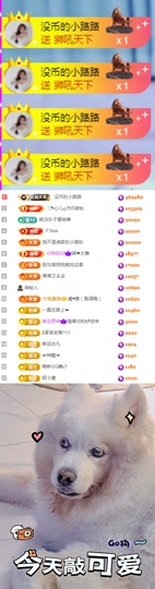 陈慧慧🥕早9晚8主播照片