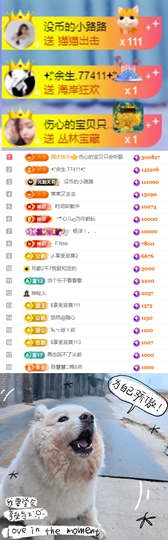 陈慧慧🥕早9晚8主播照片