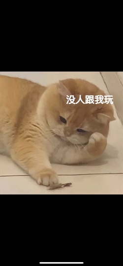 小缇娜主播照片