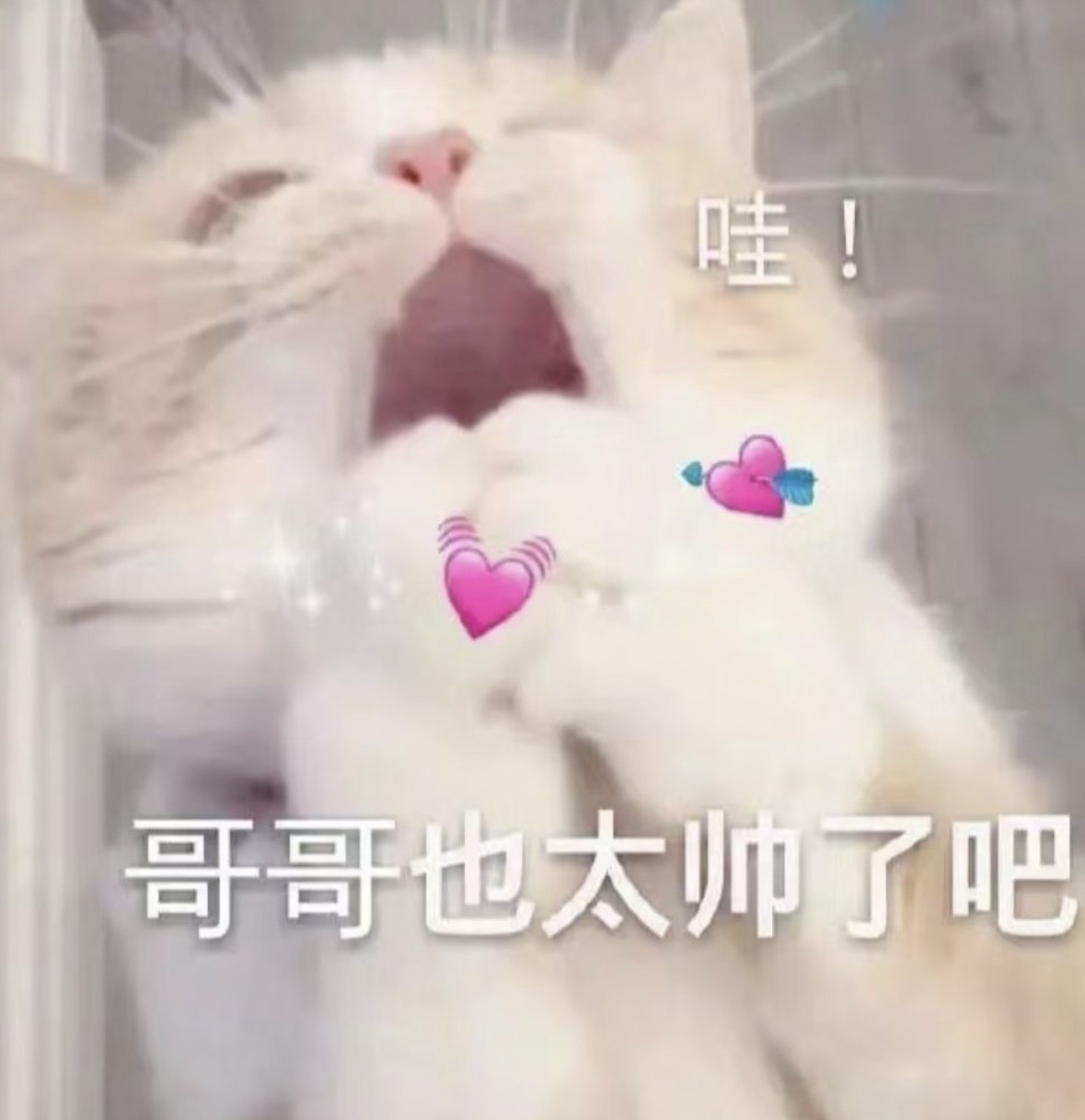 抱抱馨💌回来啦～的图片