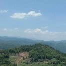 刘丰平a