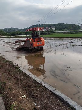 农村人在种田的图片