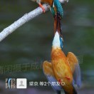日月星辰yf
