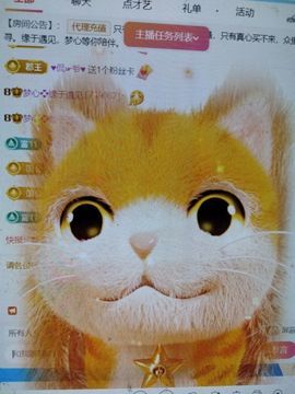梦心💞缘于遇见主播照片