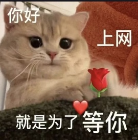 抱抱馨💌今晚休。主播照片