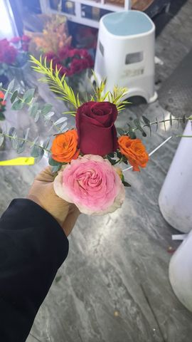 桃花恋小艺主播照片