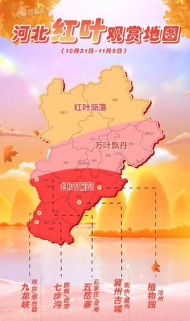 下周一考完立刻离校主播照片