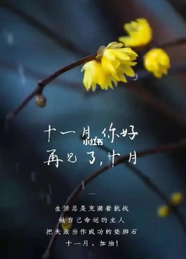 木子kigo就是任性主播照片