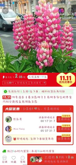 乖巧宝宝歌曲：凤凰飞主播照片