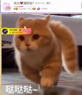 洁儿宝宝~主播照片