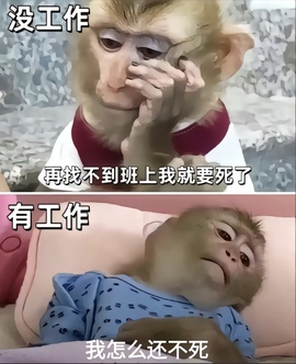 洁儿宝宝~主播照片