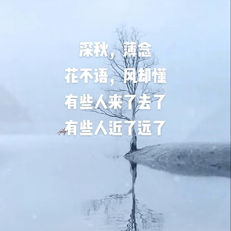 我是画饼的饼哥海报