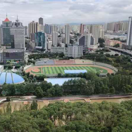 刘大（我家没钱🍎）海报