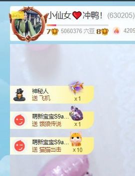 小仙女贺师傅升帝王主播照片