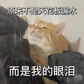 倾城🌸跳舞最哇塞的图片