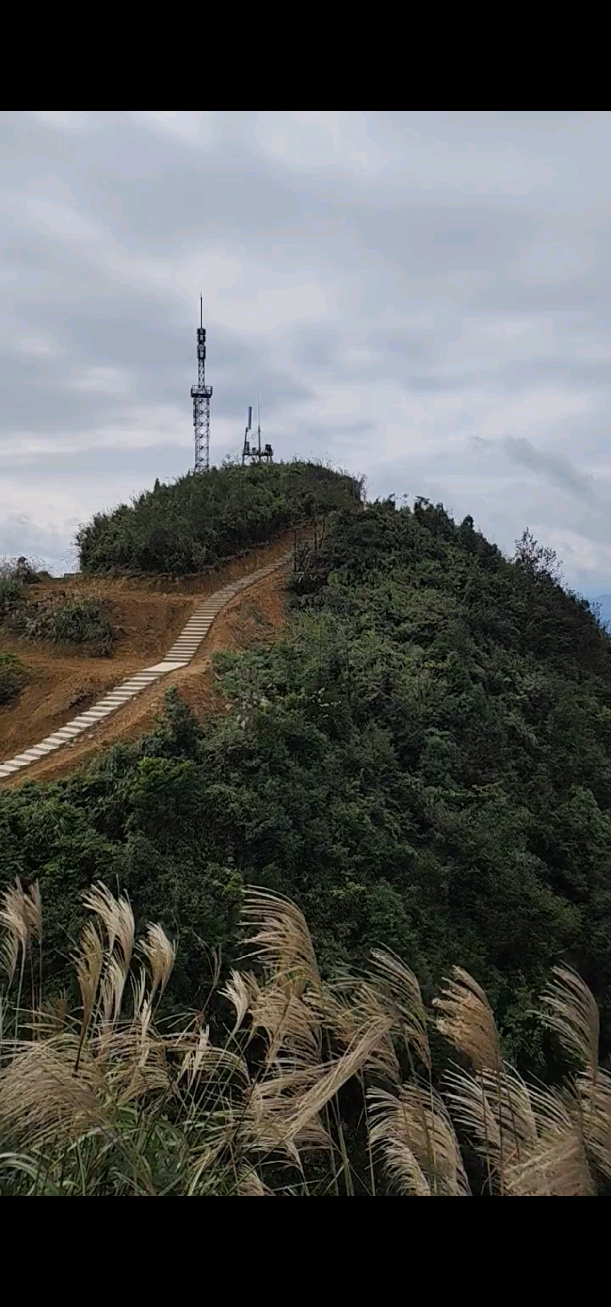 四川高县顶峰寺风景区