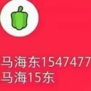 马海改名为马东154