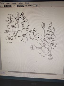 钟铃tina主播照片