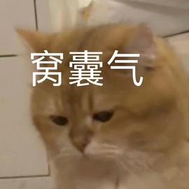 洁儿宝宝~主播照片
