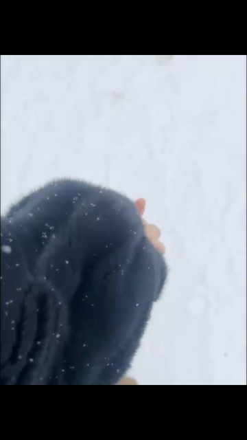 我期待的不是雪，而是