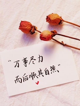承欢🌸百事从欢的图片