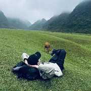 草原の风海报