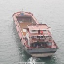 合ny海报