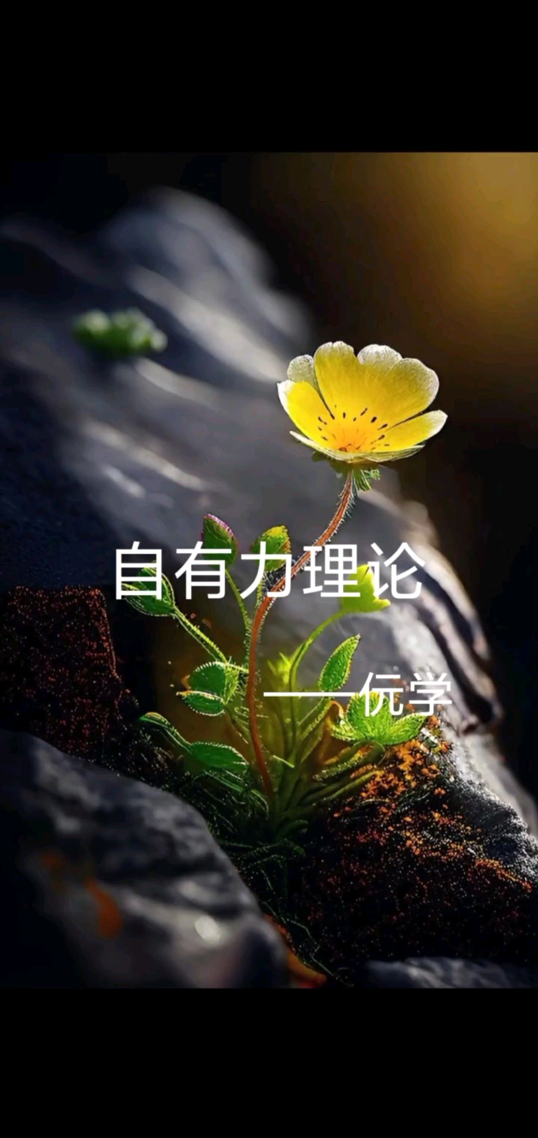 边朝清是自有力理论的
