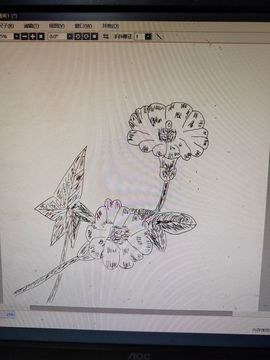 钟铃tina主播照片