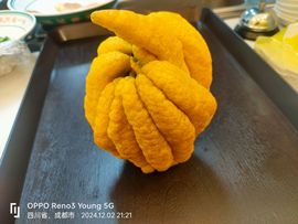 龙爷↘↗九五之尊主播照片