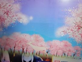 丑小鸭💞愿有一束光主播照片