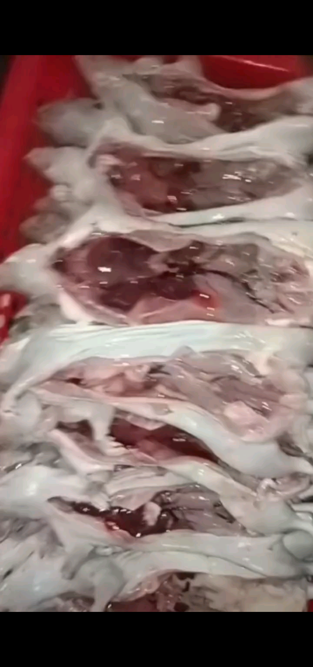 大丰收啊 美味佳肴